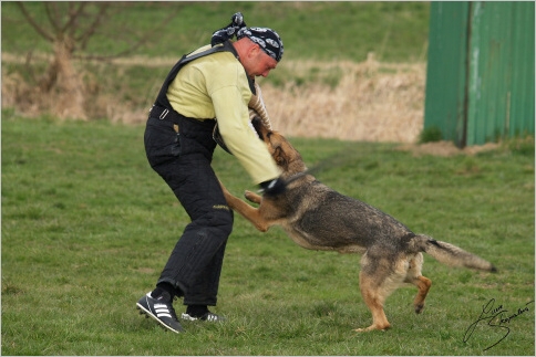 Training in Prague - 2. 4. 2008